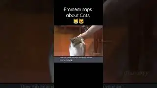 2023 Eminem Live raps about Cats #chatgpt #shortsvideo #eminem #music #rapmusic #viral #popular