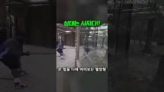헬창과 사자의 양보 없는 줄다리기