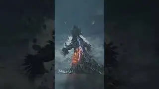 The Main Reason we play Dual Blades 