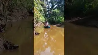 melangsir sawit|| Di sungai keruh menggunakan sampan atau biduk..