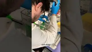 Science is fun 🧬