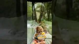 mental kucing #videoshort #poinkajianislam