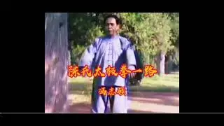 Фэн Чжицян. Чэньши синьи хуньюань тайцзицюань и лу