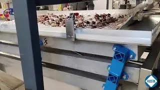 Chestnut De-shelling Machine with ROSTA Inside!