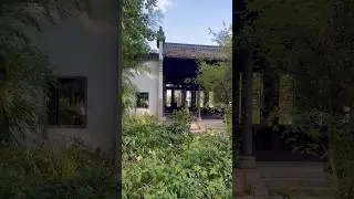 #frankfurt #chinesegarden #bethmenpark #germany #placestosee #frankfrutcity #garden #workingstudent
