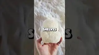 One Mushroom To Rule Them All