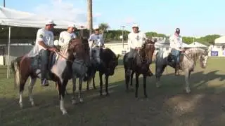 Marcação Cerrada no Apresentador Valdo Haras Vale da Alegria