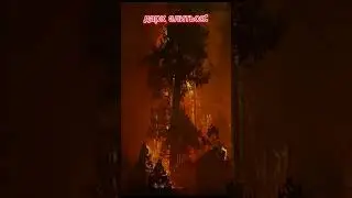 /я вернулся/ 