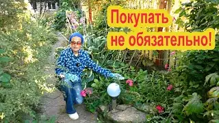 Где найти «подарки сада»?