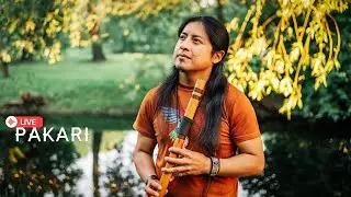 Pakari - Harmony of the sound of Andean flutes🌾
