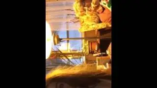 malaynajohnson   Showing my grandma periscope