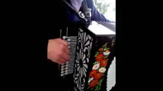 Барыня. Гармонь.