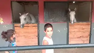 At çiftliğinde çok korktuk / Atlar saçlarımızı yemeye çalıştı