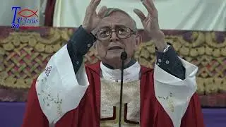Tema: Ramos. Padre Hugo Estrada sdb.
