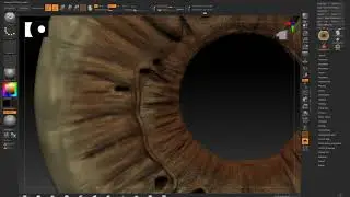 iris texturing ZBrush