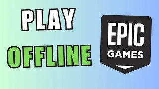 How to Play Games Offline on Epic Games Launcher (Quick Guide!)