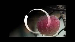 Половинки яблока (стихотворение)