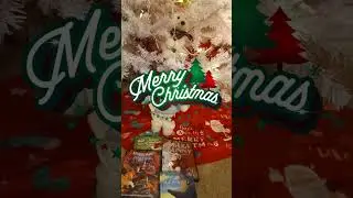 A Cozy Christmas in the Berry Living Room!