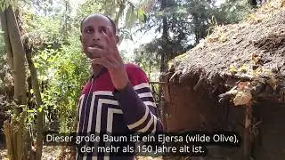 Der Bewahrer der Bäume - Aufforstung in Äthiopien