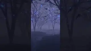 Twinkling Forest Loop  