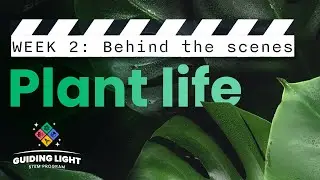 Guiding Light STEM Program: Exploring Local Plant Life