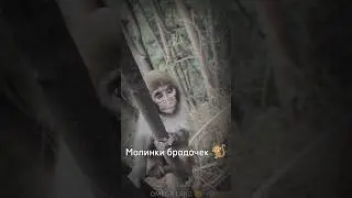 Маленький ребёнок... 🎃 