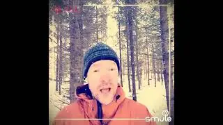 Ohikiitävää