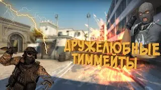 Дружелюбные тиммейты (Фейлы и приколы / CS:GO)