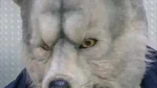 MAN WITH A MISSION - database