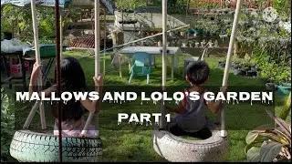 Bicol Vacation : Different plant varieties at Mallows and Lolo’s garden