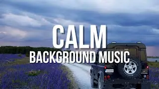 Morning Delight - Acoustic Guitar Instrumental Music | No Copyright