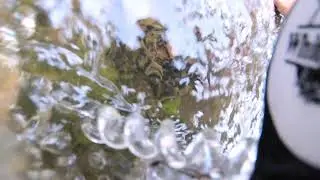 I could hear the trout laughing under the water....