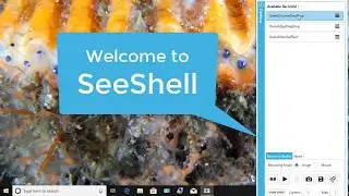 Welcome to SeeShell Windows Desktop Automation