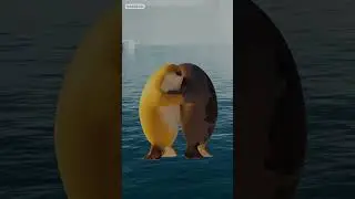 Seal We Dance?👯 