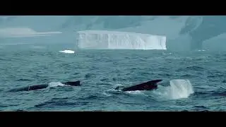 Antarctica from Above promo