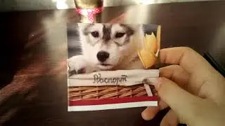 Что? Петя?