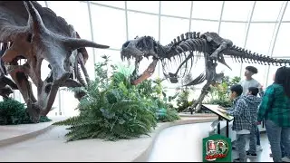 Discovery Park of America – TN WildCast 346