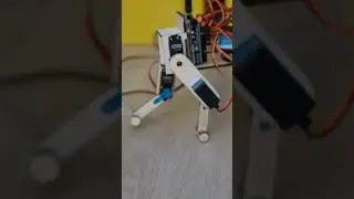 My robot walking