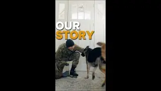 Ultimate Dog Training Gear for Every Adventure 🐾 | Invirox 360 Bundle