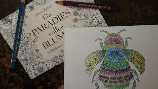 Adult Colouring Tutorial Glitterbug - from World of Flowers by Johanna Basford