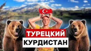 МЕДВЕДЬ ПРИШЁЛ В ЛАГЕРЬ | КРИМИНАЛЬНЫЙ ДИЯРБАКЫР | РУССКИЙ БАЗАР