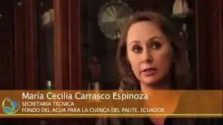 1. El Foro responde
