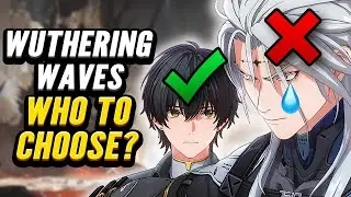 Wuthering Waves The ONLY Standard Characters You NEED!