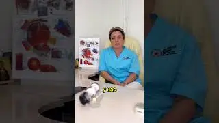 Можно ли делать операцию летом? #shorts #short