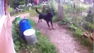 Рич не хочет, что бы его снимали))