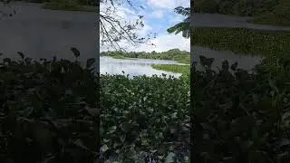හුළං කුලම වැව. අනුරාධපුර