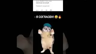 #youtube #популярное #актив #cat #перевод 🤣😅🔥