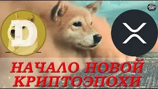 DOGECOIN = XRP = $1. Какая криптовалюта будет топ-4? Памп DOGE и Дамп XRP