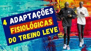 OS BENEFÍCIOS FISIOLÓGICOS DO TREINO LEVE: aumente sua capacidade aeróbia e corra mais rápido!
