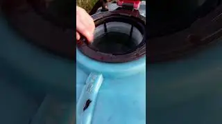 шок контент